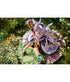 Princess Connect! Re:Dive PVC Statue 1/7 Kyoka 13 cm