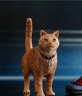 Captain Marvel Movie Masterpiece Action Figure 1/6 Captain Marvel Deluxe Ver. 29 cm