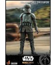 Star Wars The Mandalorian Action Figure 1/6 Transport Trooper 31 cm