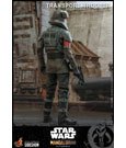 Star Wars The Mandalorian Action Figure 1/6 Transport Trooper 31 cm