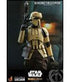 Star Wars The Mandalorian Action Figure 1/6 Shoretrooper 30 cm