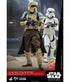 Rogue One: A Star Wars Story Action Figure 1/6 Shoretrooper Squad Leader 30 cm