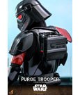 Star Wars: Obi-Wan Kenobi Action Figure 1/6 Purge Trooper 30 cm