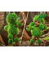 I Am Groot Action Figure Groot 26 cm