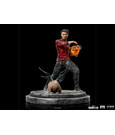 Shang-Chi and the Legend of the Ten Rings BDS Art Scale Statue 1/10 Shang-Chi & Morris 19 cm
