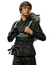 Star Wars Book of Boba Fett Art Scale Statue 1/10 Luke Skywalker & Grogu Training 20 cm