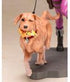 Marvel Bishoujo PVC Statue 1/7 Hawkeye (Kate Bishop) 25 cm