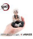 DEMON SLAYER: KIMETSU NO YAIBA G.E.M. PVC Statue Shinazugawa-san Palm Size Special Edition 9 cm