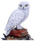 Harry Potter Figure Hedwig 22 cm