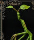 Fantastic Beasts Statue Pickett 27 cm