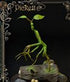 Fantastic Beasts Statue Pickett 27 cm