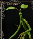 Fantastic Beasts Statue Pickett 27 cm