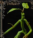 Fantastic Beasts Statue Pickett 27 cm