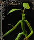 Fantastic Beasts Statue Pickett 27 cm