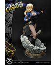 DC Comics Statue 1/3 Black Canary 69 cm