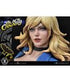 DC Comics Statue 1/3 Black Canary 69 cm