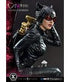 DC Comics Statue 1/3 Catwoman 69 cm
