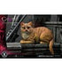 DC Comics Statue 1/3 Catwoman 69 cm