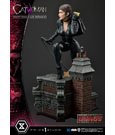 DC Comics Statue 1/3 Catwoman Deluxe Bonus Version Concept Design by Lee Bermejo 69 cm