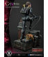 DC Comics Statue 1/3 Catwoman Deluxe Bonus Version Concept Design by Lee Bermejo 69 cm