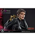 DC Comics Statue 1/3 Catwoman Deluxe Bonus Version Concept Design by Lee Bermejo 69 cm