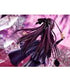 Fate/Grand Order PVC Statue 1/7 Caster/Scathach Skadi (Second Ascension) 24 cm