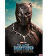 Marvel Premium Format Statue 1/4 Black Panther 67 cm