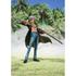 FIGUARTS ZERO ONE PIECE TRAFALGAR LAW DRESSROSA ARC VER