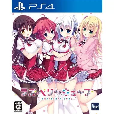 Raspberry Cube PlayStation 4