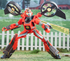 TRANSFORMERS: EARTHSPARK TERRAN TWITCH DELUXE CLASS