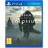Shadow of the Colossus PlayStation 4