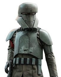 Star Wars The Mandalorian Action Figure 1/6 Transport Trooper 31 cm
