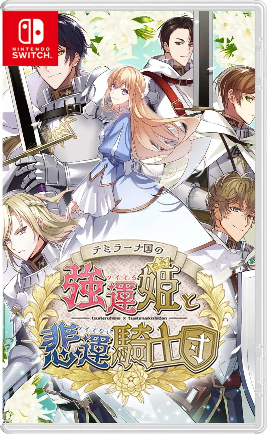Temirana Koku no Tsuiteruhime to Tsuitenaikishidan NINTENDO SWITCH