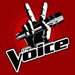 The Voice Nintendo 3DS