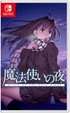 Witch on the Holy Night (English) NINTENDO SWITCH