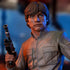 Star Wars Episode V Bust 1/6 Luke Skywalker 15 cm