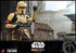 Star Wars The Mandalorian Action Figure 1/6 Shoretrooper 30 cm