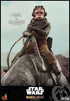 Star Wars The Mandalorian Action Figure 2-Pack 1/6 Kuiil & Blurrg 37 cm