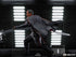 Star Wars The Mandalorian BDS Art Scale Statue 1/10 Moff Gideon 20 cm