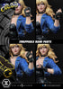 DC Comics Statue 1/3 Black Canary 69 cm