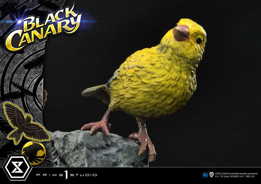 DC Comics Statue 1/3 Black Canary 69 cm