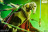 Star Wars Premium Format Statue General Grievous 63 cm