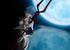 Evangelion DreamTech PVC Statue 1/7 Rei Ayanami Plugsuit Style DT-160 35 cm